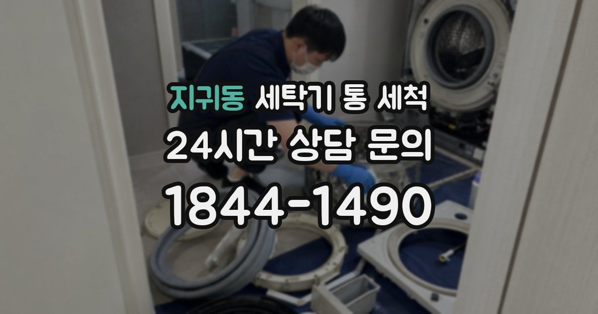 지귀동 세탁기 통 세척