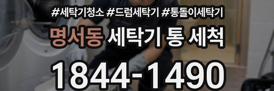 명서동 세탁기 통 세척