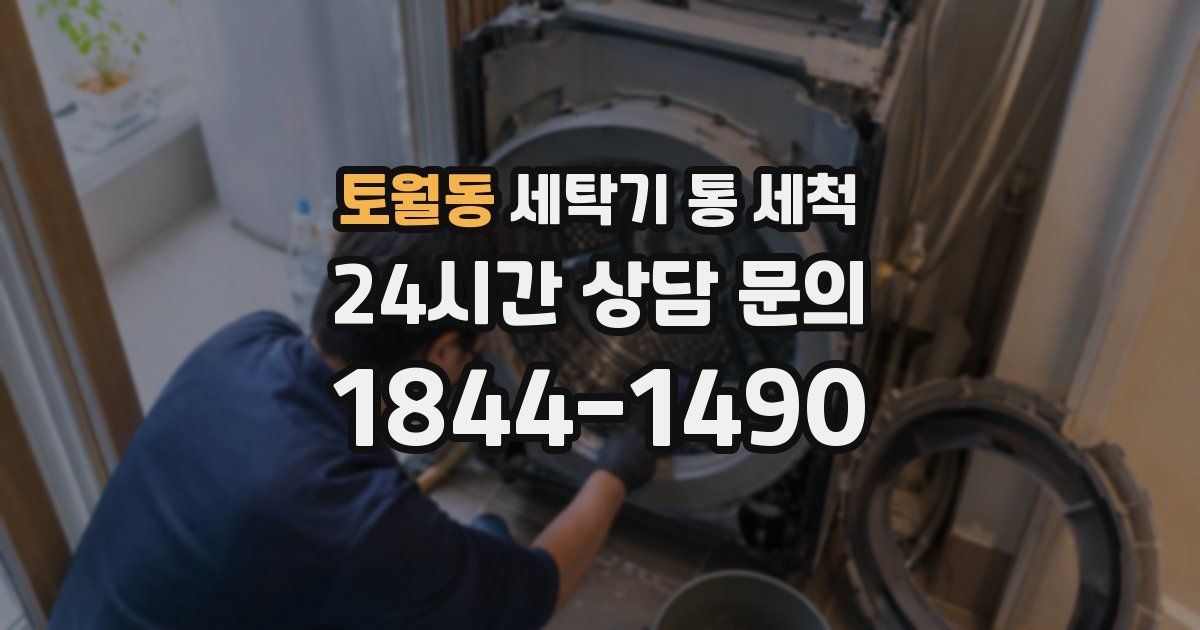 토월동 세탁기 통 세척
