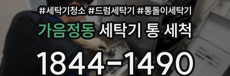 가음정동 세탁기 통 세척
