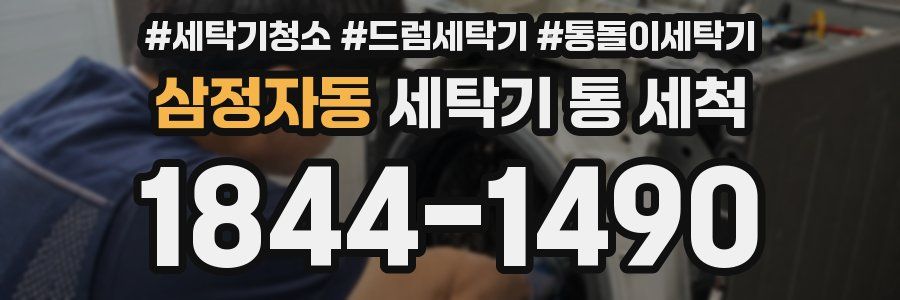 삼정자동 세탁기 통 세척