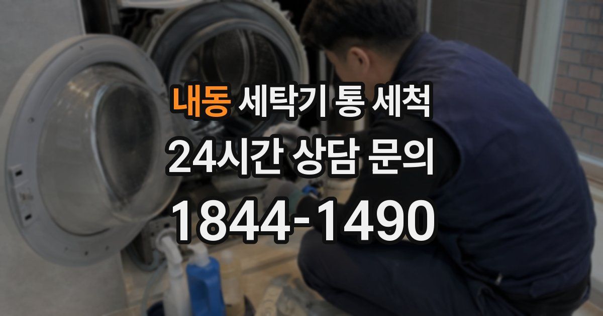 내동 세탁기 통 세척