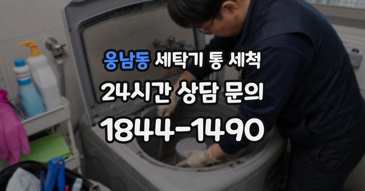웅남동 세탁기 통 세척
