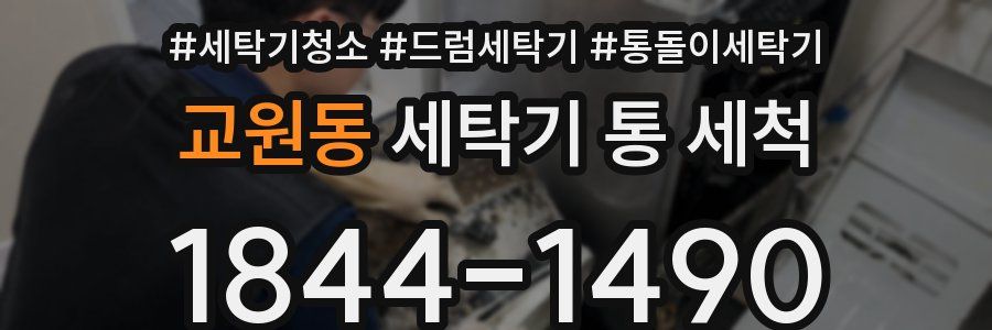 교원동 세탁기 통 세척