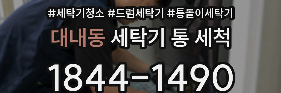 대내동 세탁기 통 세척