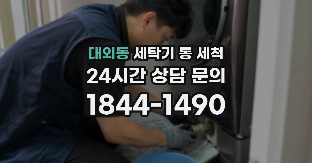 대외동 세탁기 통 세척
