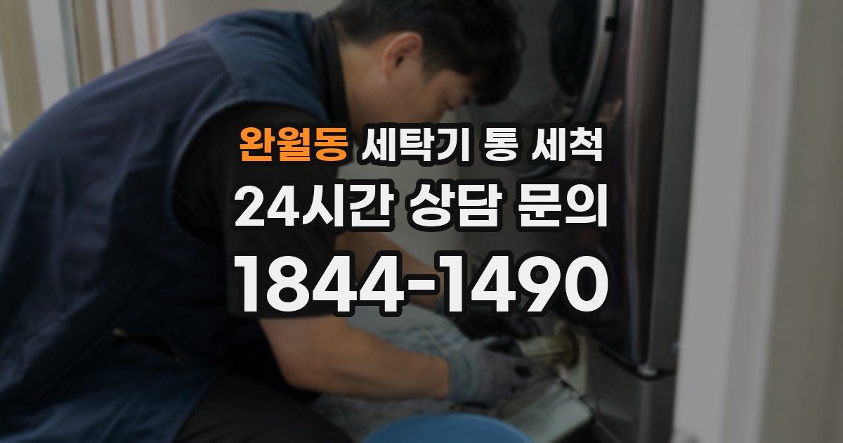 완월동 세탁기 통 세척