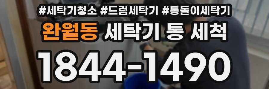 완월동 세탁기 통 세척