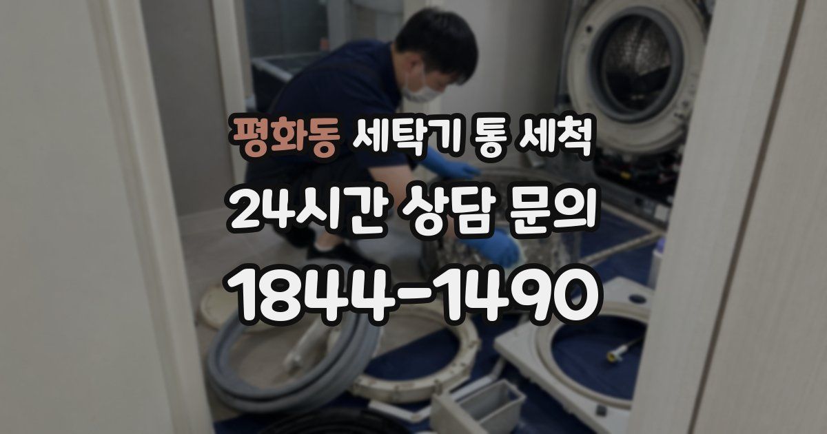 평화동 세탁기 통 세척