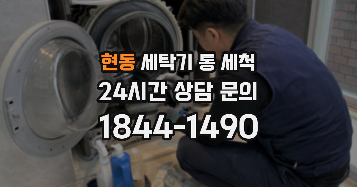 현동 세탁기 통 세척