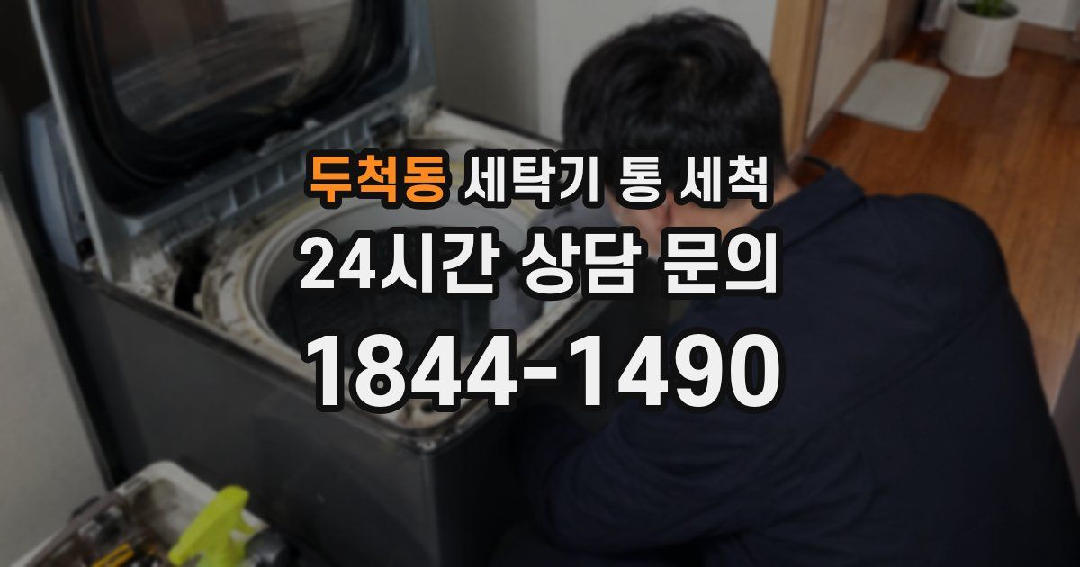 두척동 세탁기 통 세척