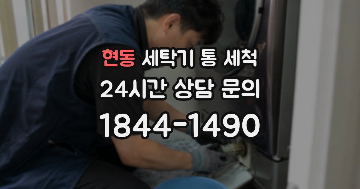현동 세탁기 통 세척