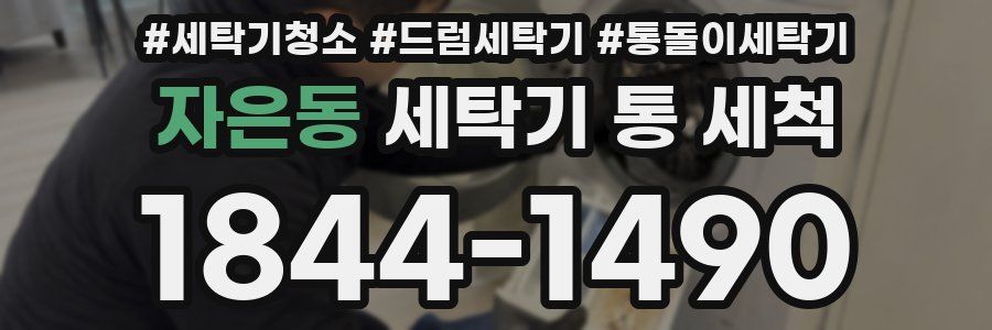 자은동 세탁기 통 세척