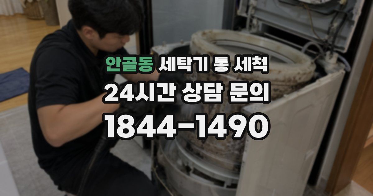 안골동 세탁기 통 세척