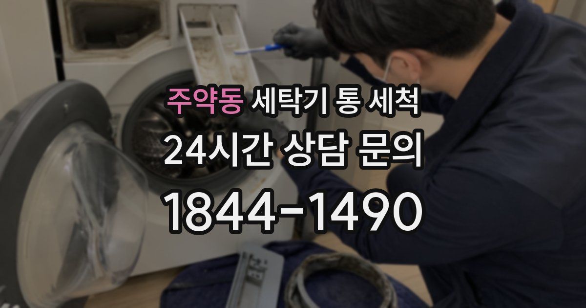 주약동 세탁기 통 세척