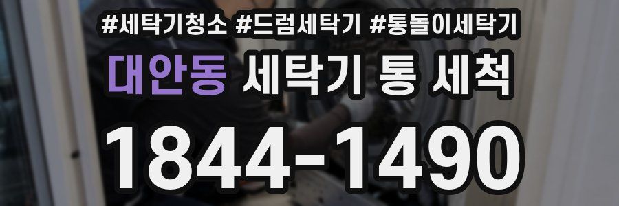 대안동 세탁기 통 세척