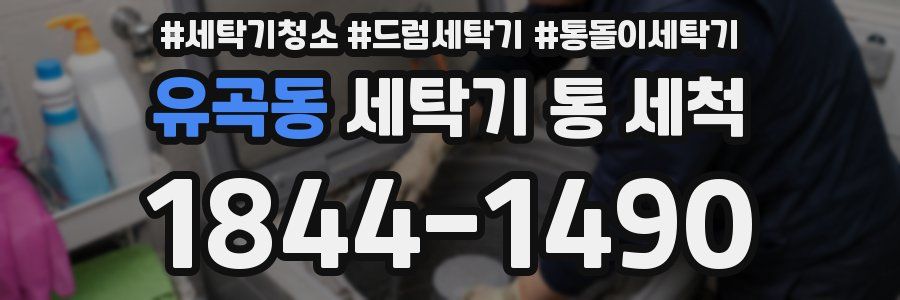 유곡동 세탁기 통 세척