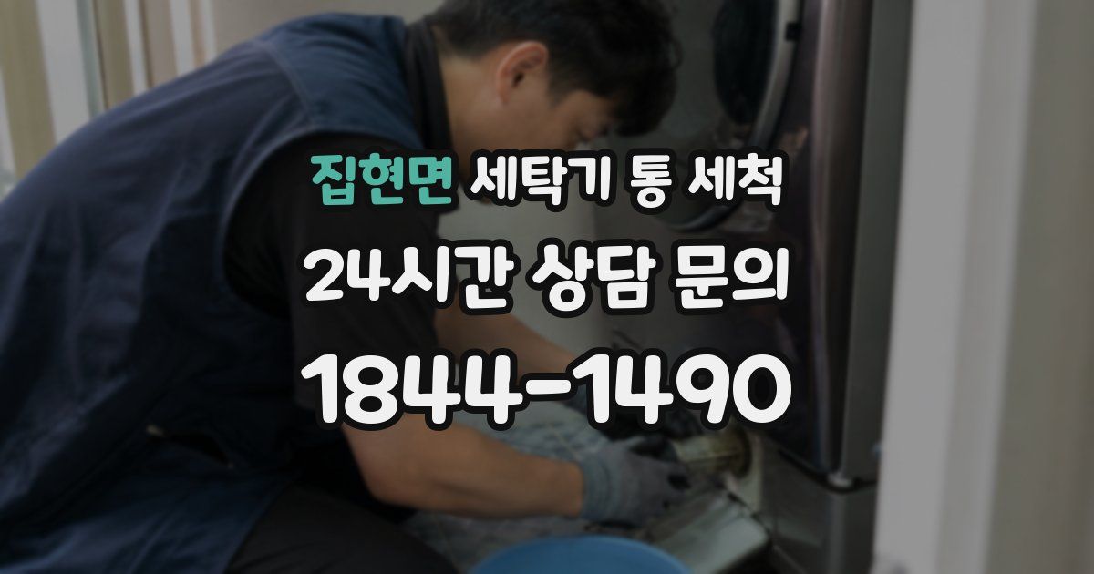 집현면 세탁기 통 세척