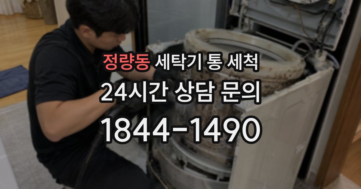 정량동 세탁기 통 세척