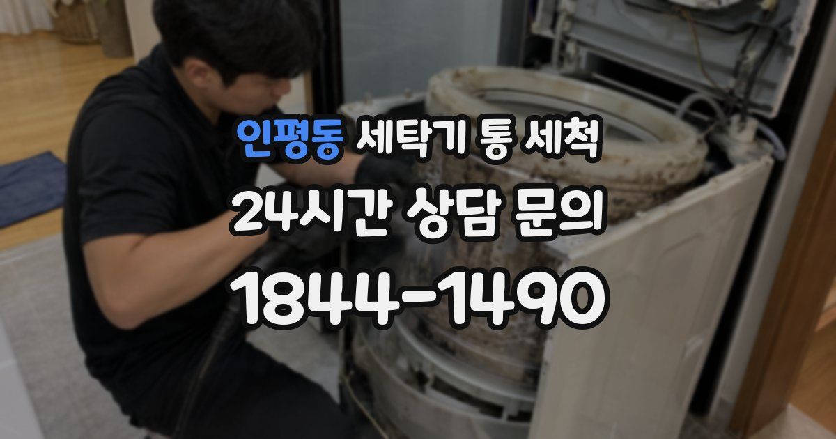 인평동 세탁기 통 세척