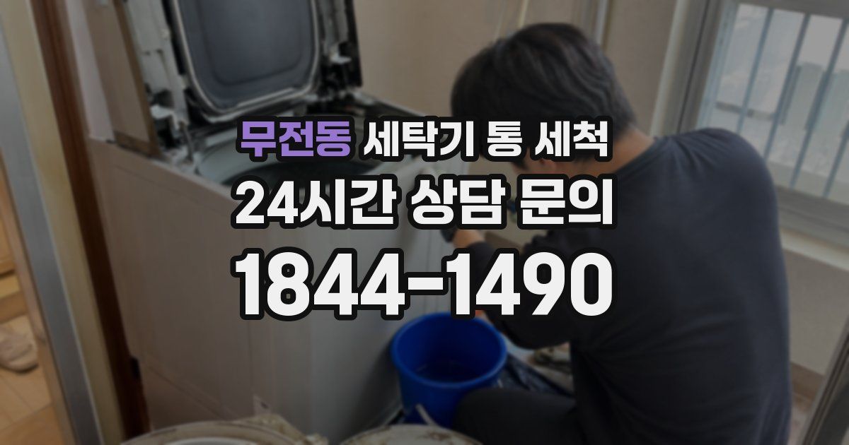무전동 세탁기 통 세척