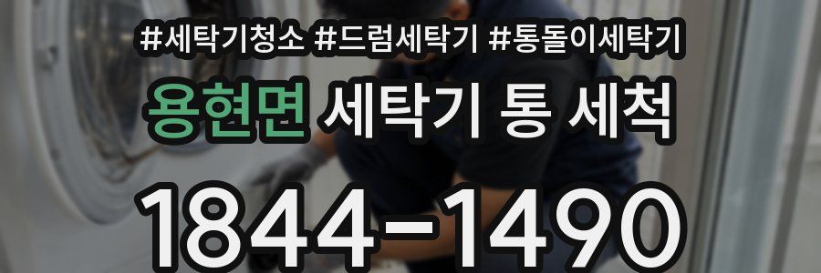 용현면 세탁기 통 세척