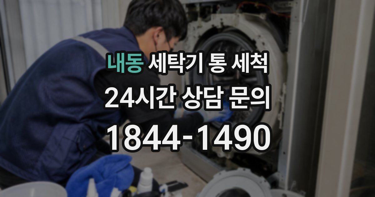 내동 세탁기 통 세척