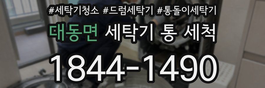 대동면 세탁기 통 세척