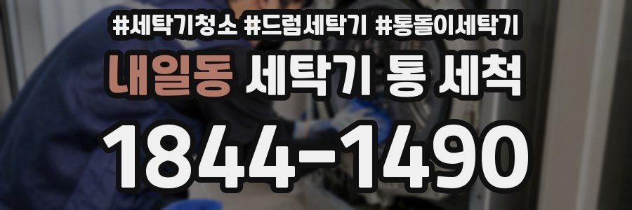 내일동 세탁기 통 세척