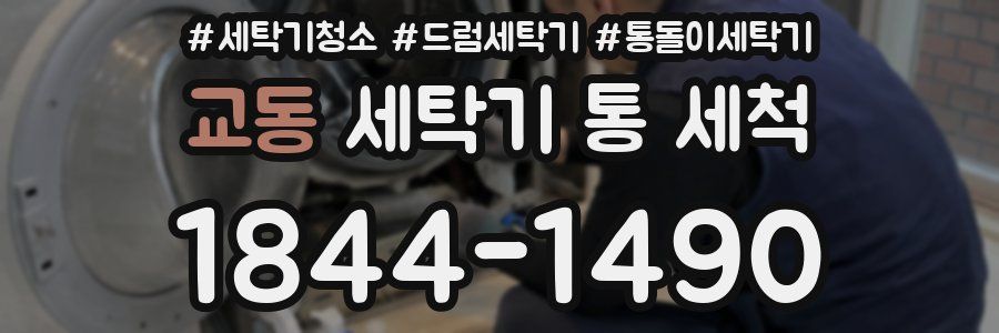 교동 세탁기 통 세척