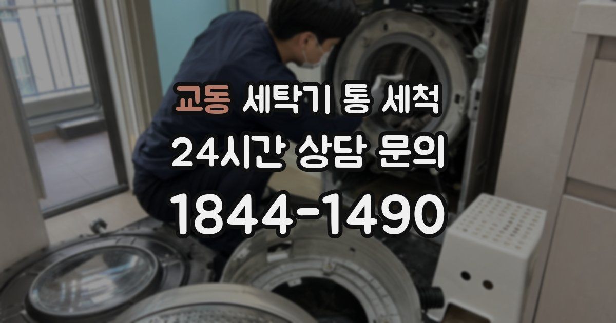 교동 세탁기 통 세척
