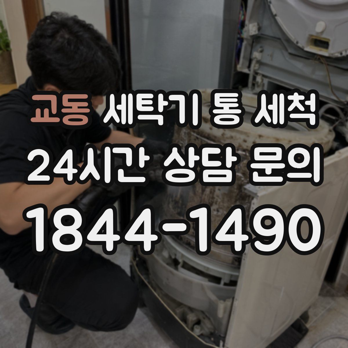 교동 세탁기 통 세척
