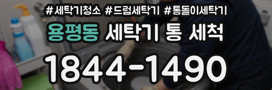 용평동 세탁기 통 세척