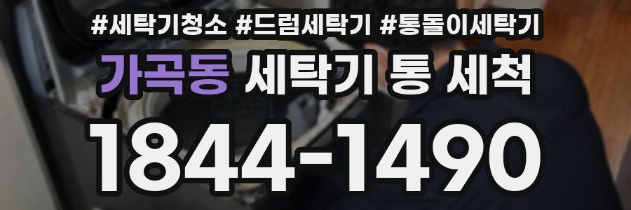 가곡동 세탁기 통 세척