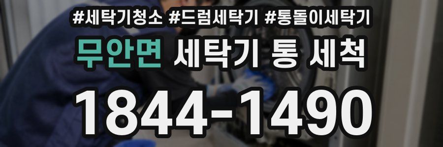 무안면 세탁기 통 세척