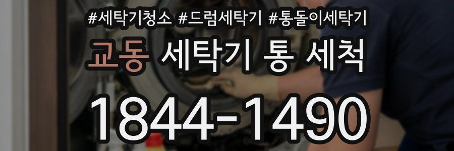 교동 세탁기 통 세척