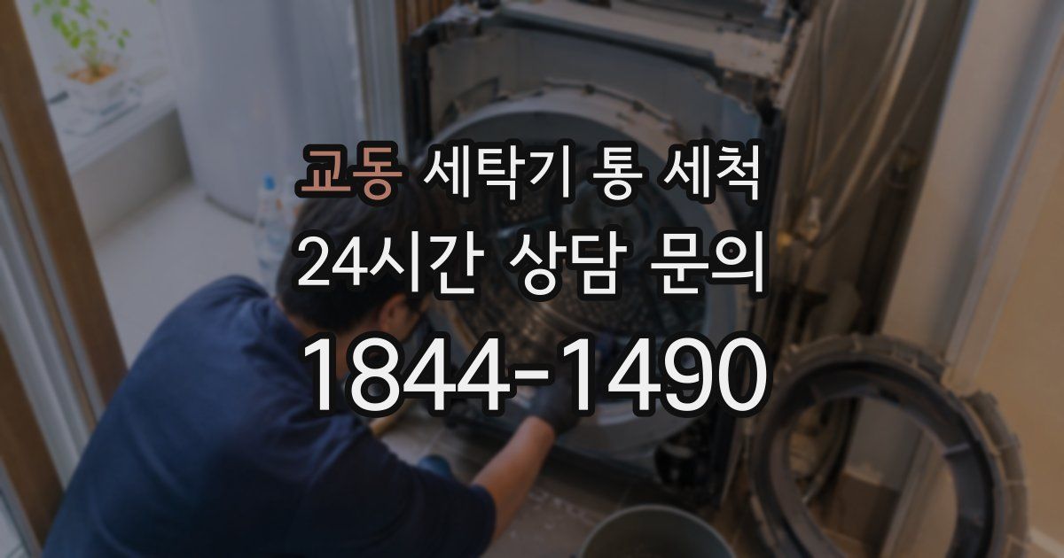 교동 세탁기 통 세척