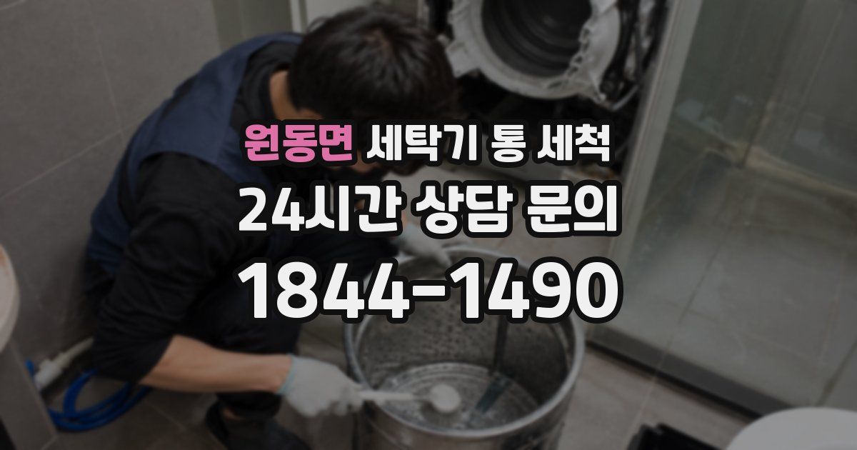 원동면 세탁기 통 세척