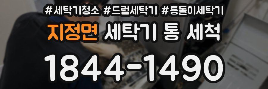 지정면 세탁기 통 세척