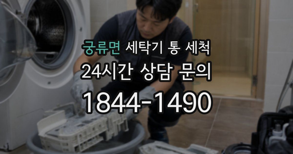궁류면 세탁기 통 세척