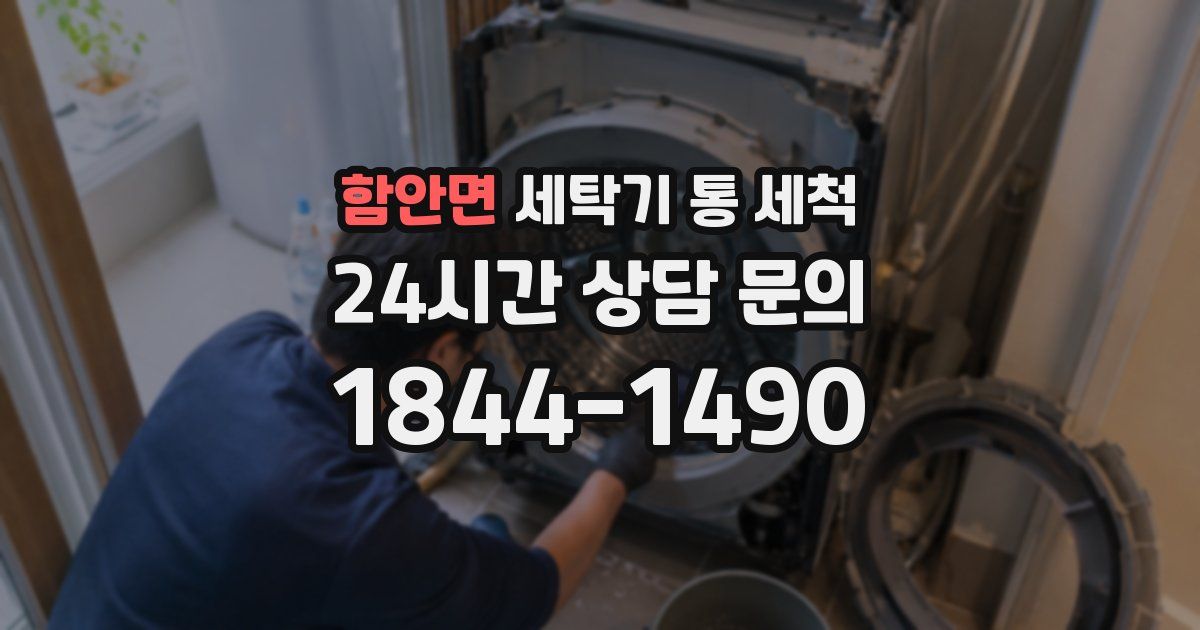 함안면 세탁기 통 세척