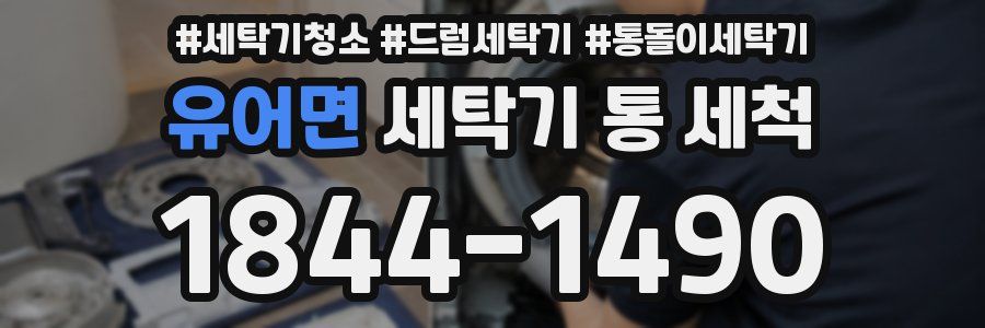 유어면 세탁기 통 세척
