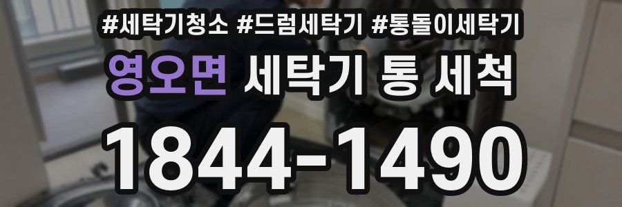 영오면 세탁기 통 세척