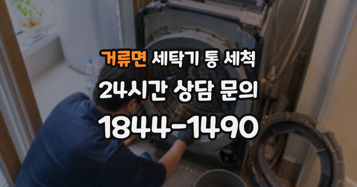 거류면 세탁기 통 세척