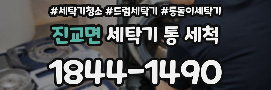 진교면 세탁기 통 세척