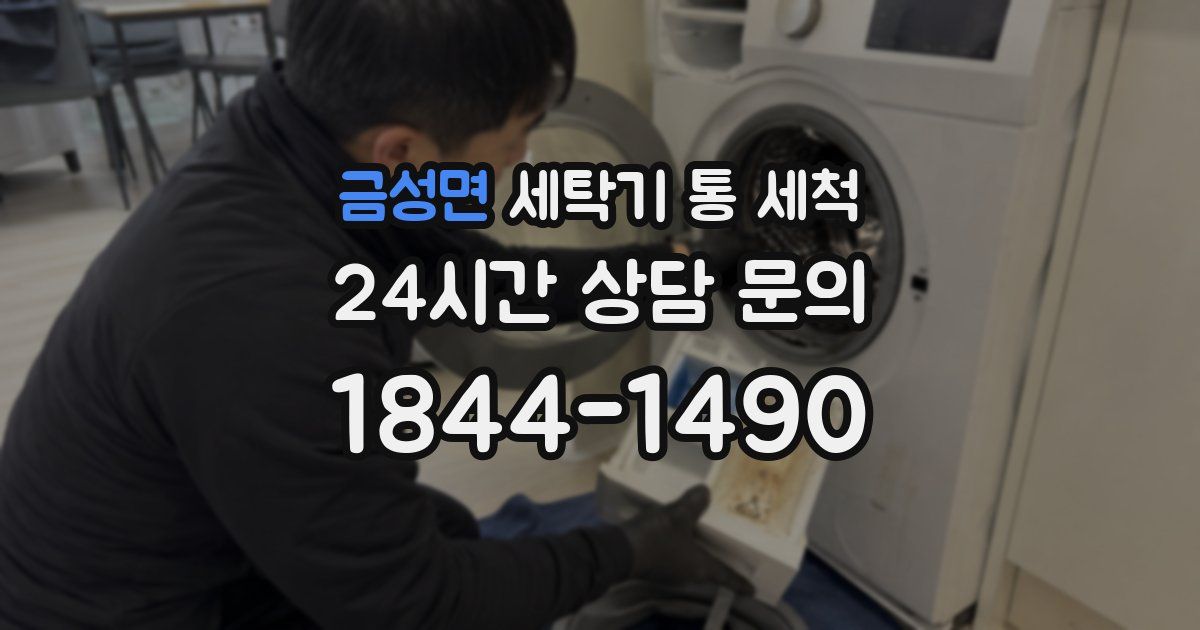 금성면 세탁기 통 세척