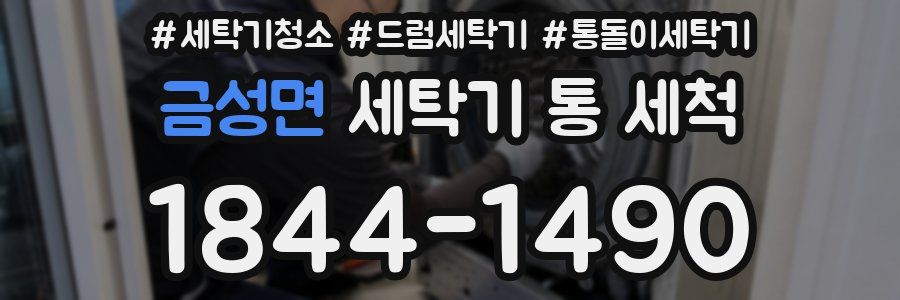금성면 세탁기 통 세척