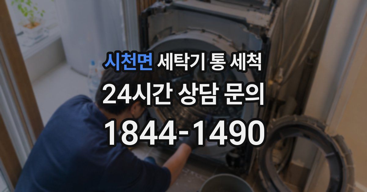 시천면 세탁기 통 세척