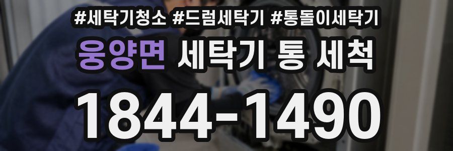 웅양면 세탁기 통 세척