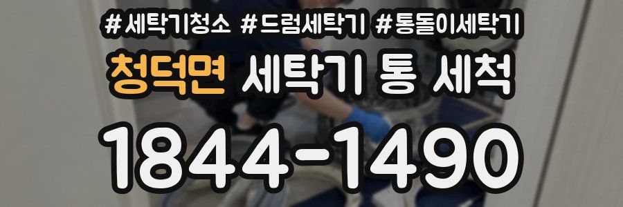 청덕면 세탁기 통 세척